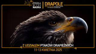 Drapole